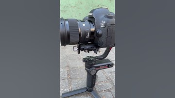 Weebil | Canon EOS 5D Miv #photography #canon #camera #short