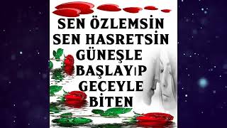 Özlemek Ne Ağır, Ne Uzun, Ne Yorgun Bir İmtihan... Duygusal Özlem 