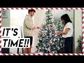 Decorating My Apartment For Christmas!!! | Vlogmas Day 1