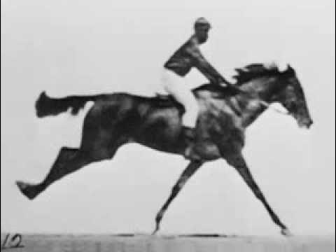 Caballos en movimiento