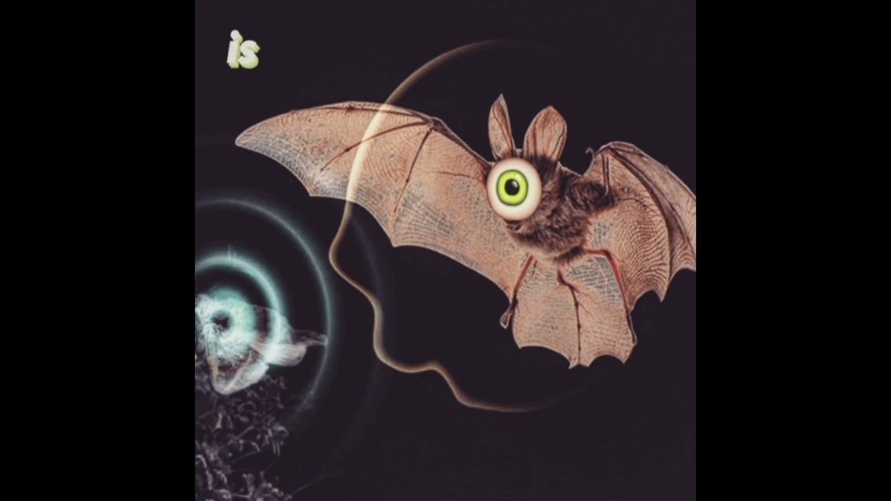 Watch Oak Lonetree x Melvin Junko - 12 on YouTube Watch Oak Lonetree x Melvin Junko - 12 on YouTube