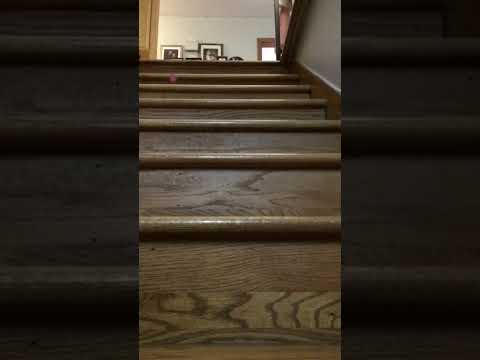 POV you drop your guitar pick#pov#guitar#funny#meme#music#shorts