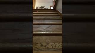 POV you drop your guitar pick#pov#guitar#funny#meme#music#shorts