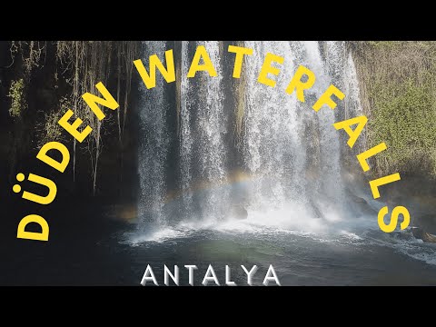 Video: Little River Hayvanat Bahçesi Ziyaretçi Rehberi