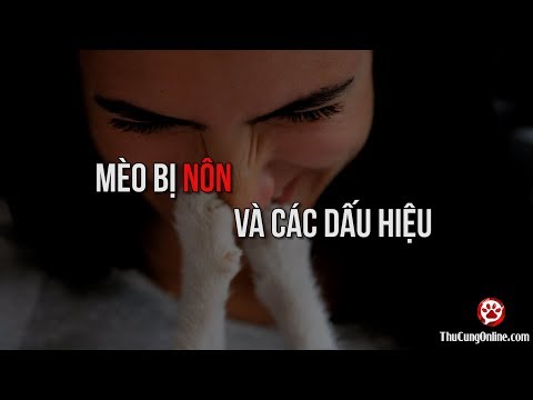 Video: Nôn Mửa Với Mật ở Mèo