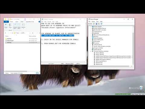 HOW TO RUN Sentinel DONGLE CLONE ON WINDOWS 10