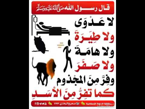 قال رسول الله صلى الله عليه وسلم دعاء مستجاب ستوريات دينيه اذكار مميزه دون صوت