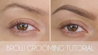 Eyebrow Grooming Tutorial In 6 Steps | Shonagh Scott | ShowMe MakeUp