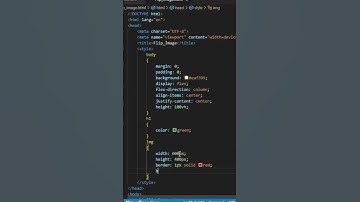 Flip Image hover effect I HTML CSS