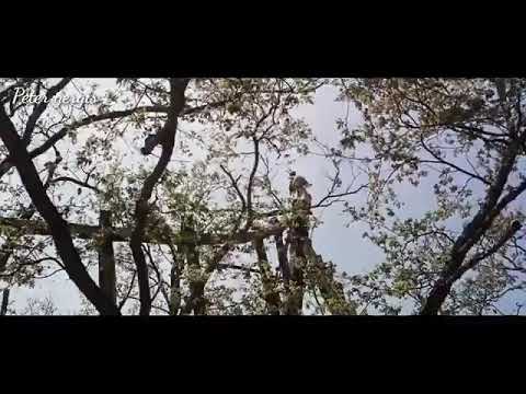 طمنى جى وقالى متخفش ثق فيا