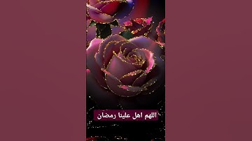 قران كريم #quran #اكسبلور #دويتو #دعاء #duet #دعاءمستجاب #تيك_توك #حالات_واتس #صباحالخير