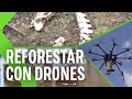 [Video] 9.000 árboles en apenas 10 minutos: así es como un dron puede ayudar en las labores de reforestación