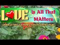 Love Is All That Matters- All Time Country Music by Lifebreakthrough