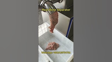 🔥Efficient Meat Bone Separation with Our Stainless Steel Meat Bone Separator Machine🔥 #meat