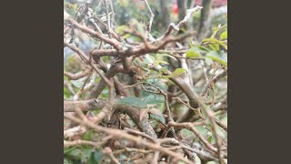 Forgive me if there is any mistake