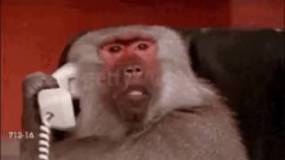 Calling | GIF #Shorts