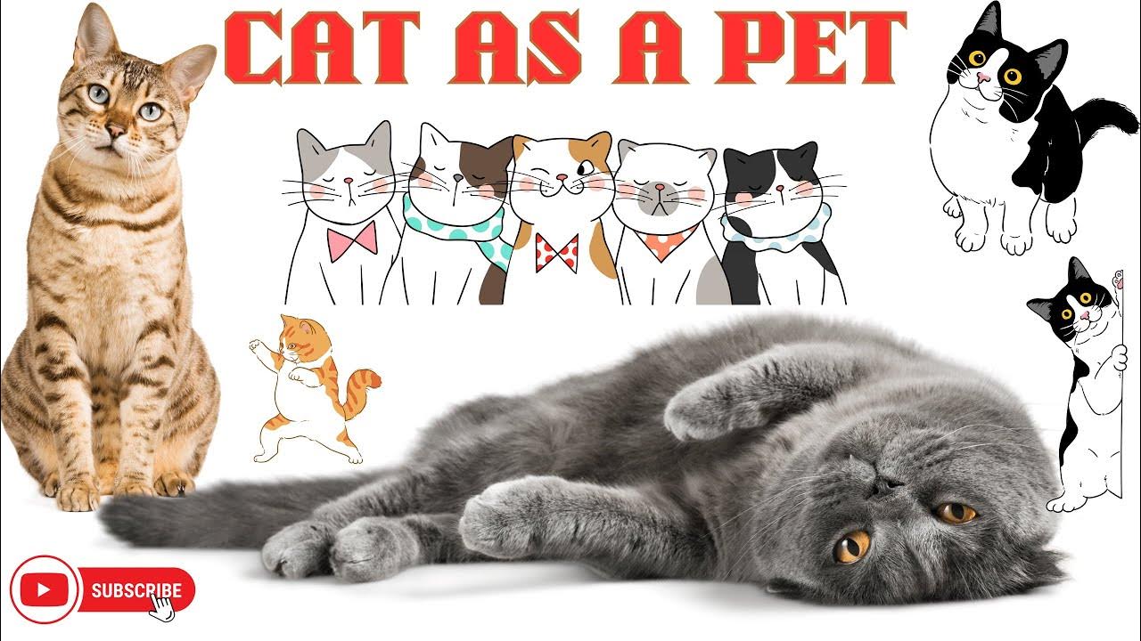 CAT AS A PET CAT AS PET HISTORYCAT AS A PET GOOD OR BAD YouTube