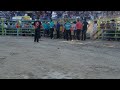 Principe Guarani Con Moroco De Patzcuaro En Pico Rivera Fin Gira Usa 2018