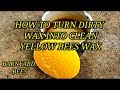 Rendering dirty bees wax into clean yellow wax