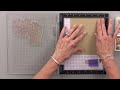 Beginning of video