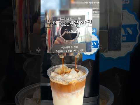 카페다