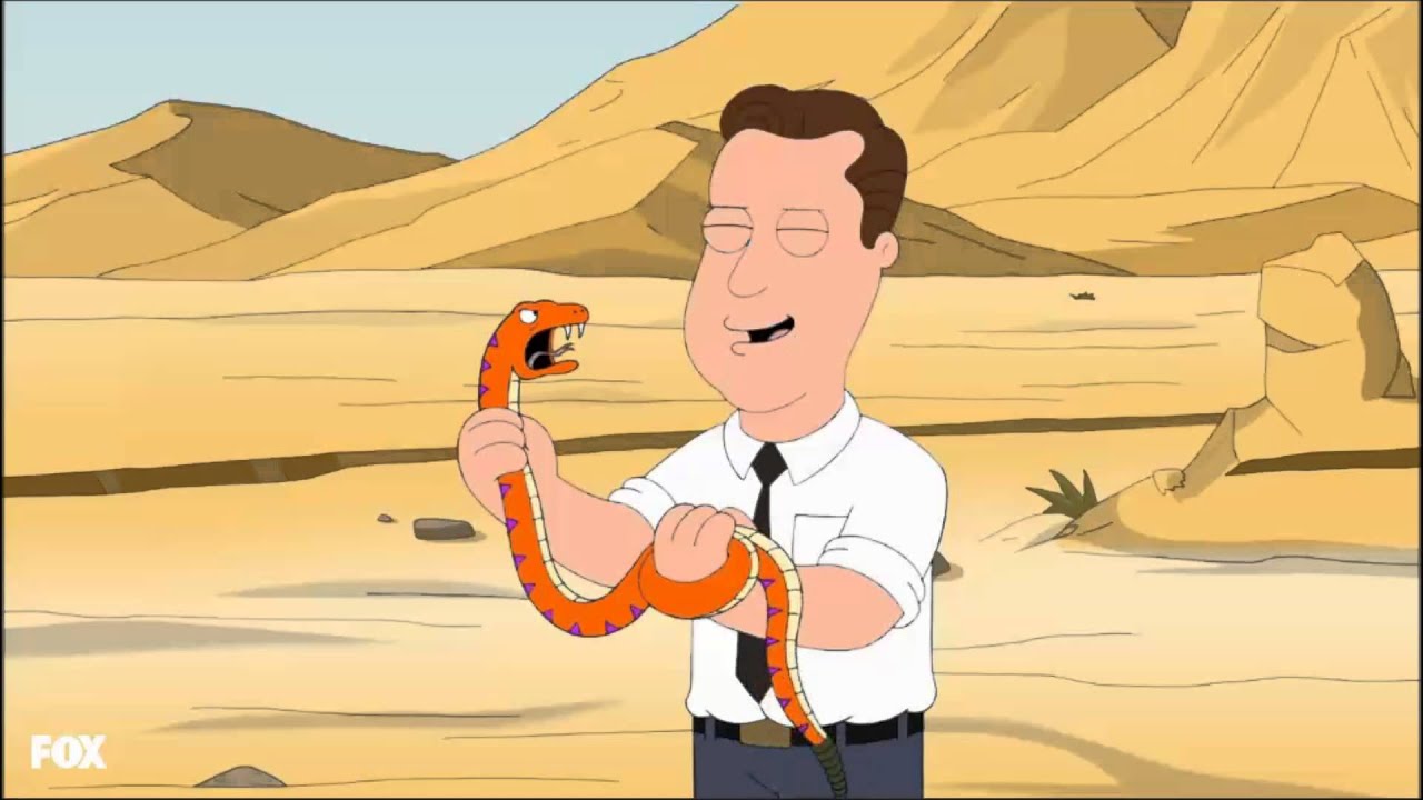 family guy  tree jesus  YouTube