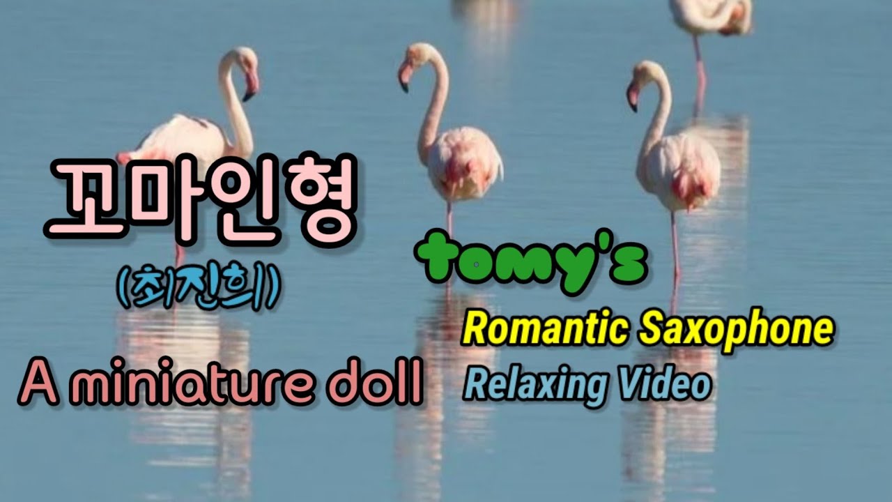 꼬마인형(a miniature doll)/최진희/tomy/romantic saxophone/relaxing video
