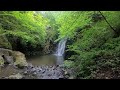 Stunning Glenoe Waterfall. June 2023.