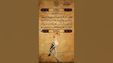 افضل تلاوة 🌷 القارئ محمد الفقيه 🌷 #اكسبلور #تص #دويتو #تيك_توك #راحة_نفسية #duet #ت #حالات_واتس #لاي