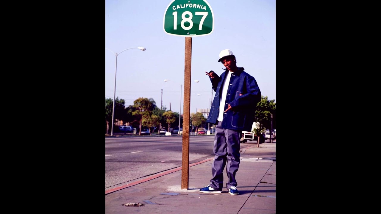 "187" Snoop Dogg ft. Dr. Dre G-Funk Funky Worm Instrumental Beat (Prod. @deternoah)