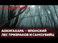 Японский лес самоубийц | Страшные истории | Мистика | НЕ ОБОРАЧИВАЙСЯ