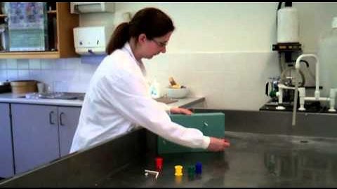 Create a pulley system