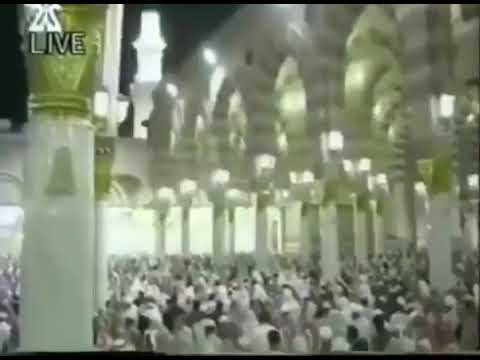 تلاوة عذبة ونادرة للشيخ عبدالودود حنيف من المسجد النبوي الشريف على صاحبه أفضل الصلاة وأتم التسليم