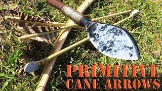 Primitive river cane arrows and trade point arrowheads