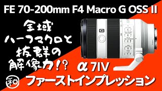 SONY FE 70200mm F4 Macro G OSS II 優れたマクロ性能と解像力!!この望遠ズームレンズはおすすめできるのか!?ファーストインプレッション!!【α7IV α6700】