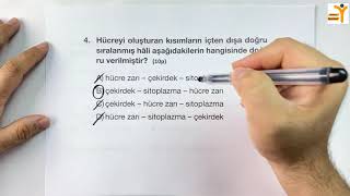 7.Sınıf Fen Bilimleri 1. Ünite Güneş Sistemi ve Ötesi Konu Testi