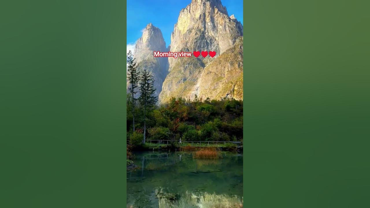 good morning π #love #nature #photography #wildlife #song # trending shorts # viral #trave#birds l good morning π #love #nature #photography #wildlife #song # trending shorts # viral #trave#birds l