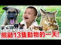 【好味小姐】照顧13隻動物的一天！｜好味貓日常EP108