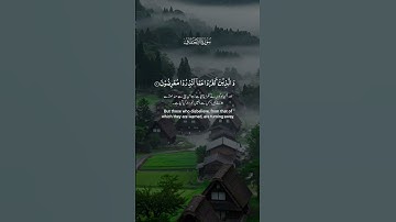 سورة الأحقاف #اكسبلور  #viral