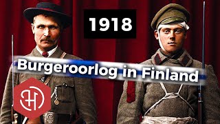 De Finse Burgeroorlog (1918)