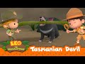 Tasmanian Devil | What's Making That Screeching Noise?!? | Leo the Wildlife Ranger Season 2