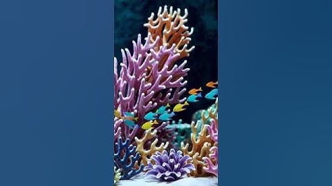 AI Generated ORIGINAL PROMPT Batch (Re-used the original prompts, as different variations)