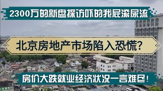 北京房地产市场陷入恐慌?房价下跌就业现状经济下行一言难尽!2300万新房吓的我屁滚尿流!消费降级|社会困境|解救房市|就业困境|房地产困局|卖房|买房|真实房价