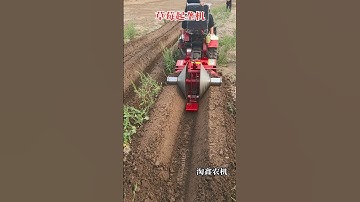 #Multi-function rotary tiller#Strawberry ridging and furrowing machine