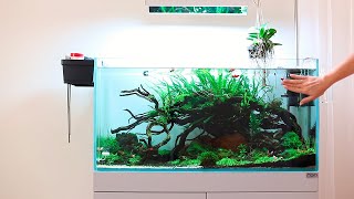 Природный аквариум 90p: коряги и водоросли 2,5 мес без подмен