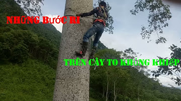 Guốc trèo cây đẳng cấp