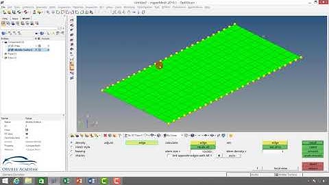 Hypermesh - Automesh_01