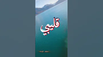 ولادي الله يحميون 
