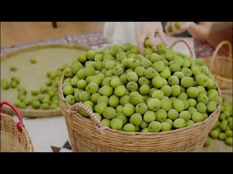 Vídeo: Como Fazer Vinho De Ameixa Caseiro