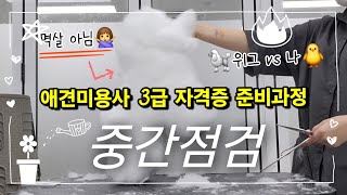 애견미용사 3급 자격증 준비과정 | 중간점검 하고 가실게요~ | 위그 시간재기 | 위그 초벌 빨리 하는 법? | 네, 그냥 계속 자르세요